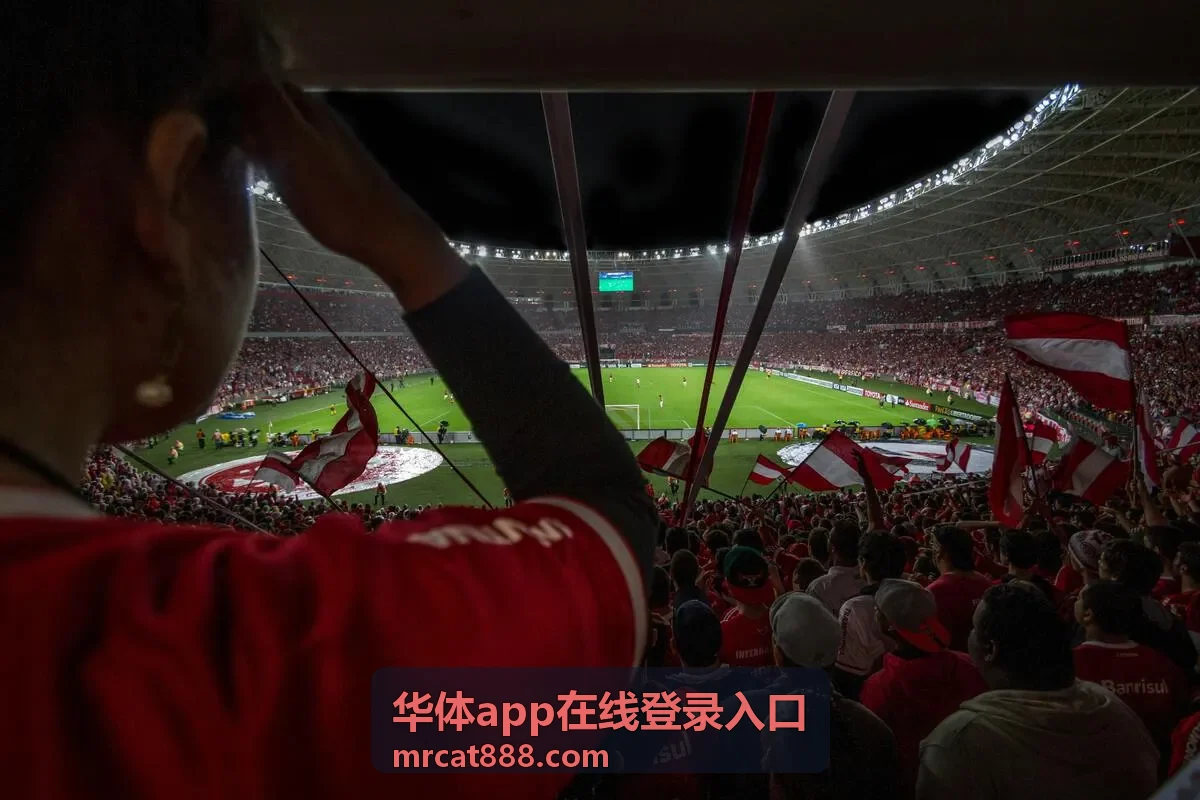 手机端快速进入华体app登录入口服务介绍封面