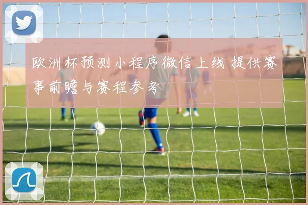 欧洲杯预测小程序微信上线 提供赛事前瞻与赛程参考