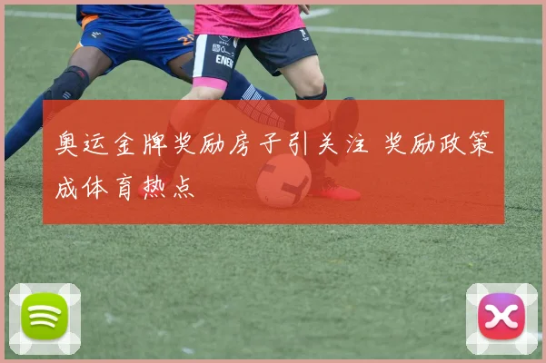 奥运金牌奖励房子引关注 奖励政策成体育热点